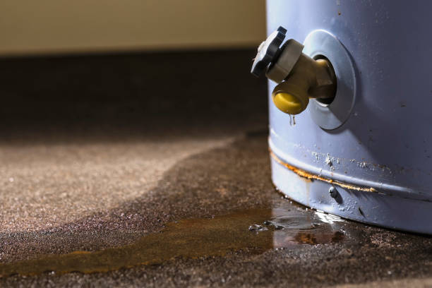 Best Water damage restoration near me  in Centreville, MS