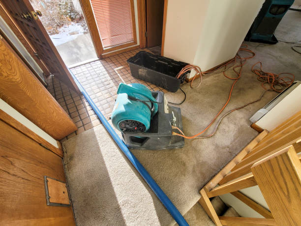 Best Flood damage cleanup  in Centreville, MS