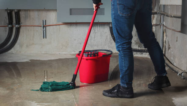 Best Mold removal after water damage  in Centreville, MS