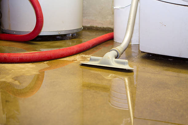 Best 24/7 water damage repair  in Centreville, MS