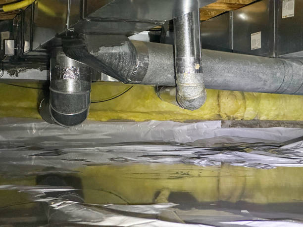 Best Water damage restoration cost  in Centreville, MS