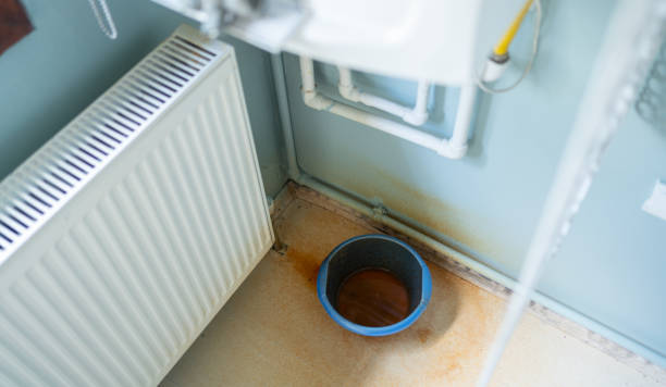 Best Flood restoration services  in Centreville, MS
