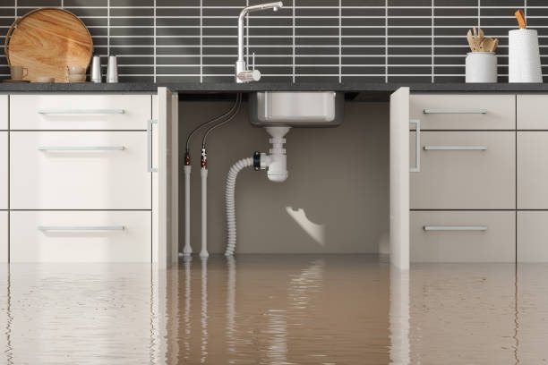 Best Local water damage restoration  in Centreville, MS